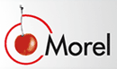 Morel Makelaars Instituut